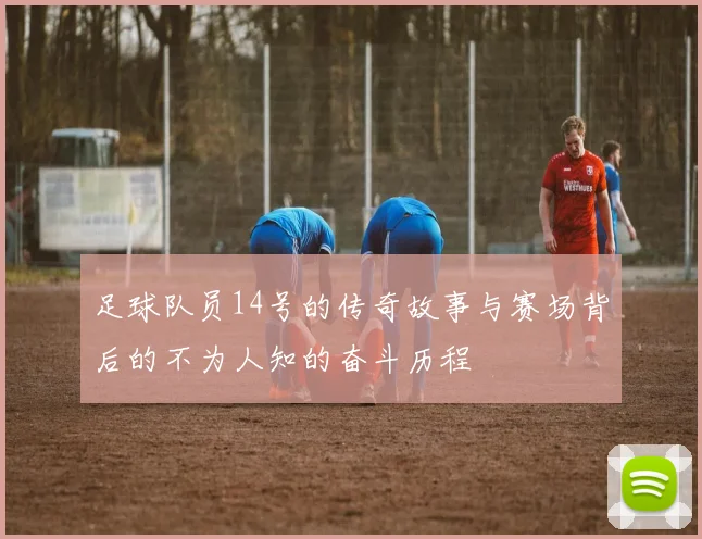 足球队员14号的传奇故事与赛场背后的不为人知的奋斗历程