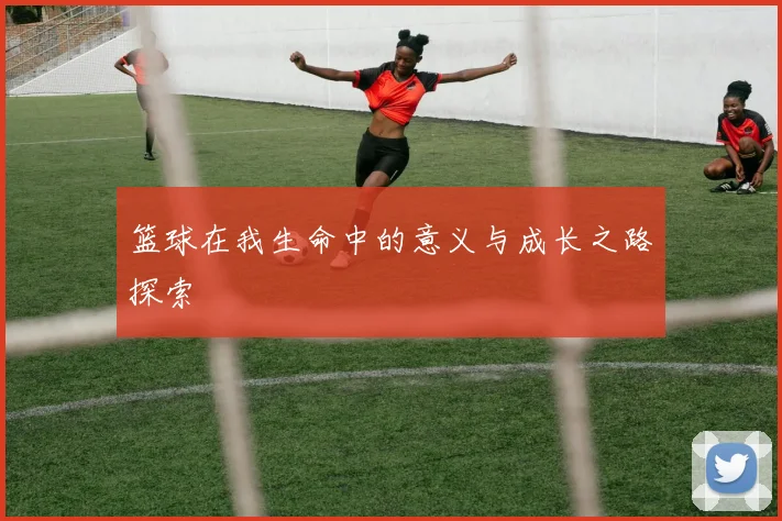 篮球在我生命中的意义与成长之路探索