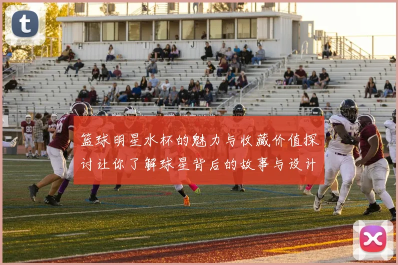 篮球明星水杯的魅力与收藏价值探讨让你了解球星背后的故事与设计理念