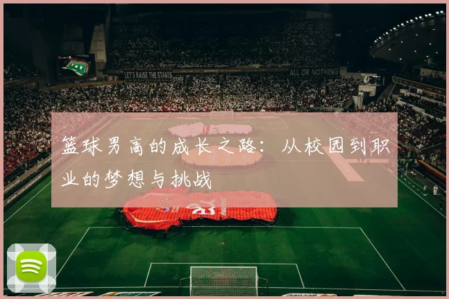 篮球男高的成长之路:从校园到职业的梦想与挑战