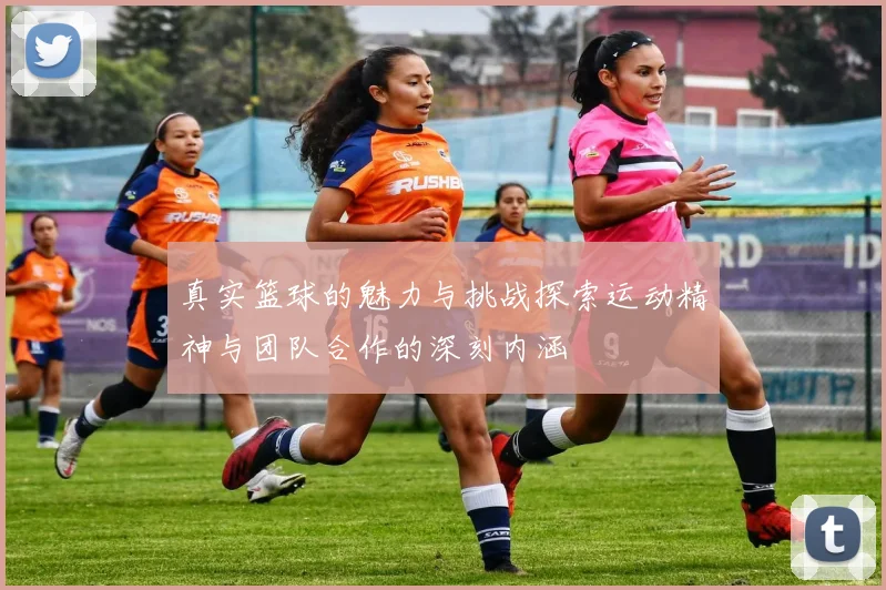 真实篮球的魅力与挑战探索运动精神与团队合作的深刻内涵