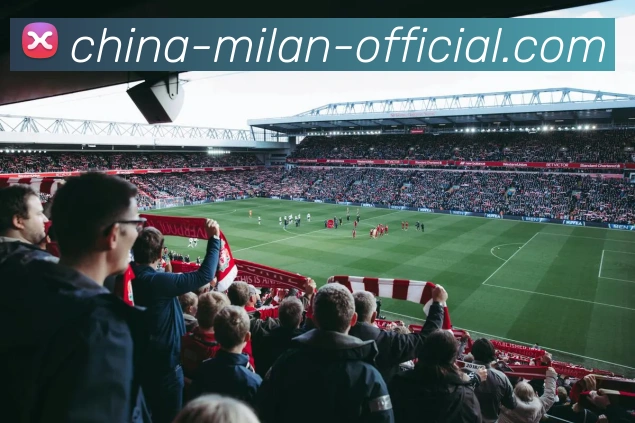 App Interface Preview